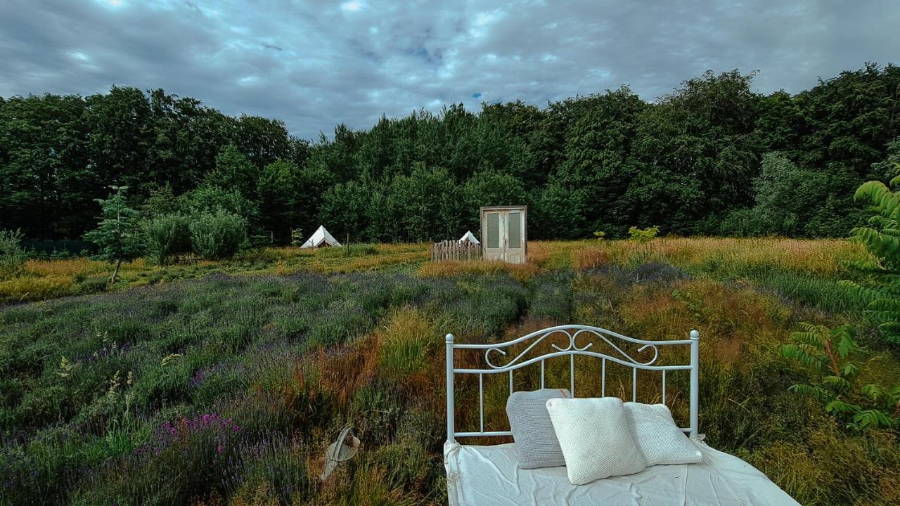 Wilcze Pole - Tu Odpoczniesz Od Swiata Campingplasser